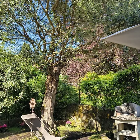 La Bolvedrina - Garden And View Apartments, Lejlighed Tremezzo